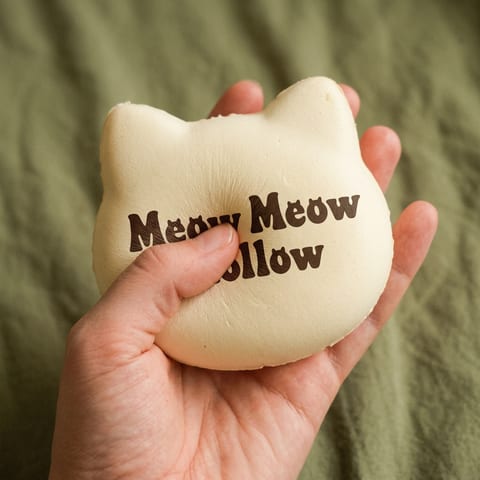 Mochi Cat Squishy