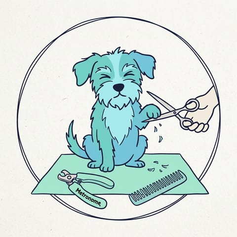 Drawn illustration of a small dog having its paws trimmed, with nail clippers and a comb nearby